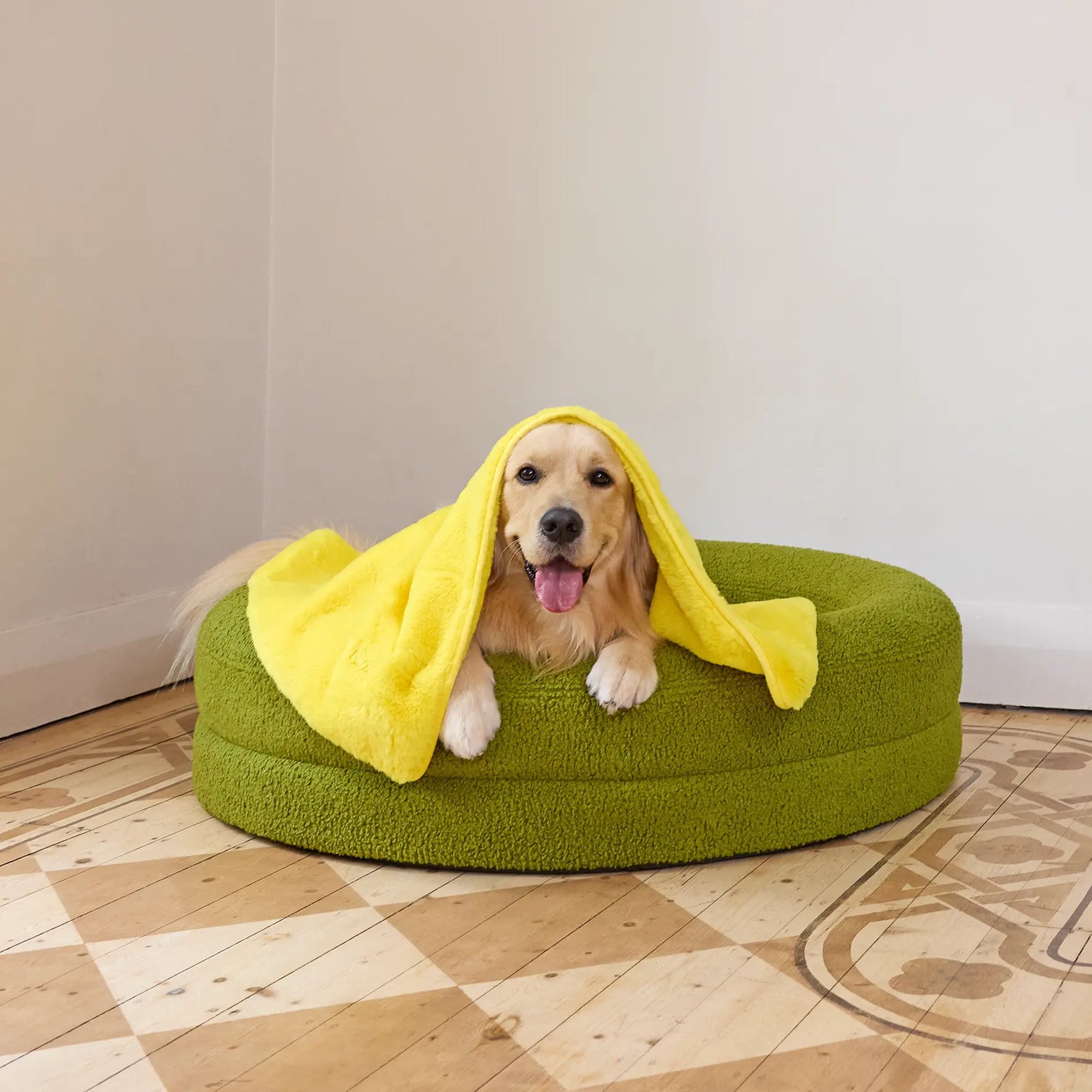 Beds/Blankets